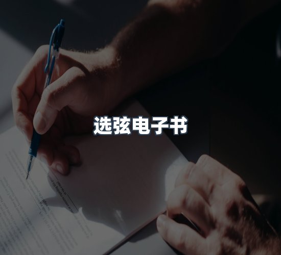 关于选弦电子书